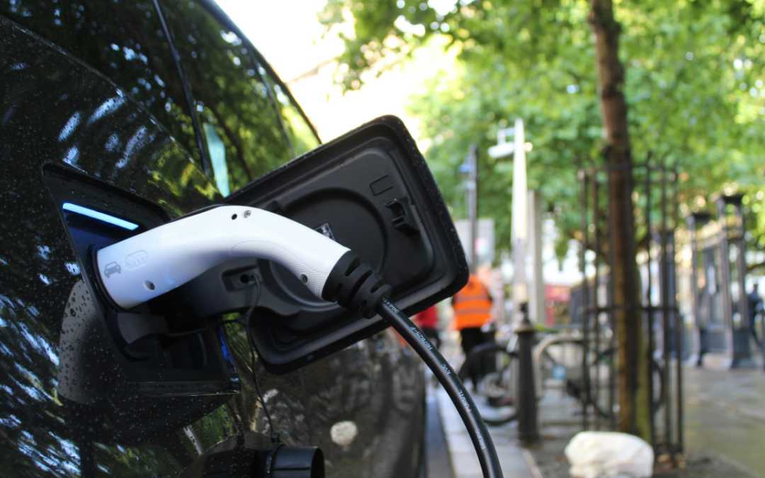 Bufala auto elettrica